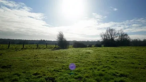 91免费田园自然风光高清视频素材